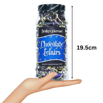 Chocolate Eclairs (440g)